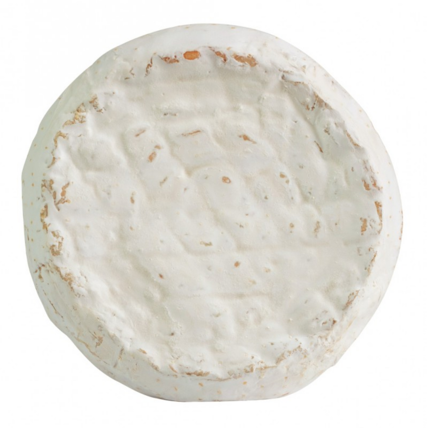 Robiola di Bufala