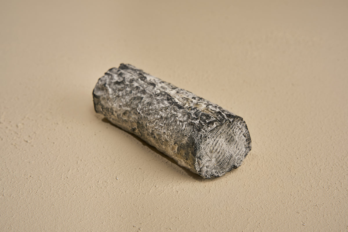 Petite Sainte Maure Cendrée