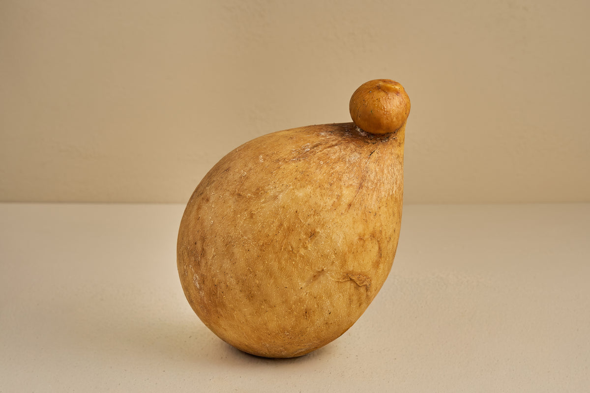 Caciocavallo Podolico