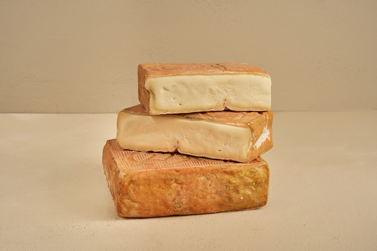 Taleggio Giallo DOP