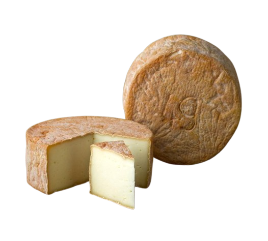 Tomette Brebis de Corse